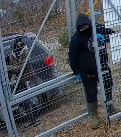 Suspect 1, suspect two, and suspect vehicle